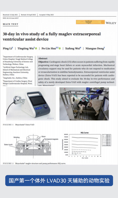 第一个体外LVAD30 天辅助的动物实验