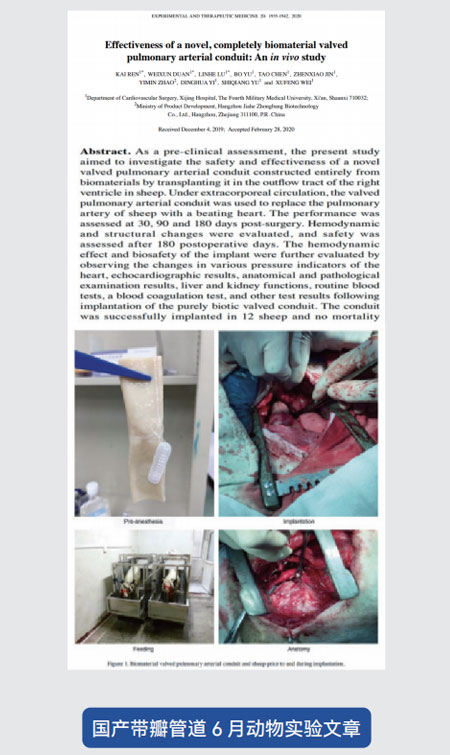 东莞市凯迪胶粘科技有限公司